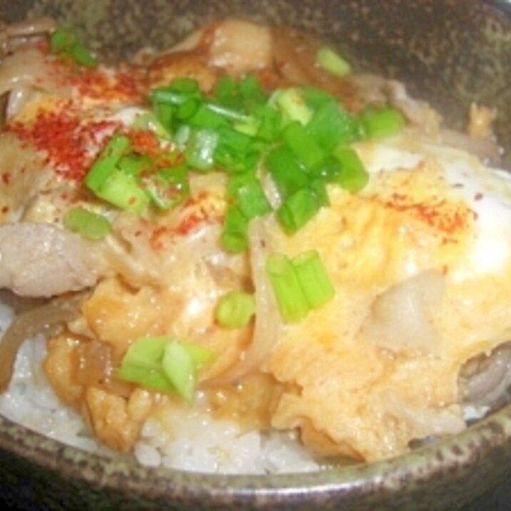 簡単！美味しい豚丼